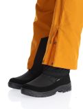 Thumbnail Picture, Object ski pants men Honey brown 