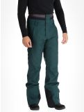 Thumbnail Picture, Object ski pants men Ponderosa Pine green 