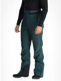 Thumbnail Picture, Object ski pants men Ponderosa Pine green 