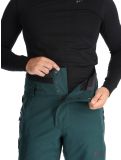 Thumbnail Picture, Object ski pants men Ponderosa Pine green 