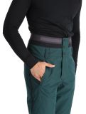 Thumbnail Picture, Object ski pants men Ponderosa Pine green 