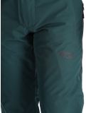 Thumbnail Picture, Object ski pants men Ponderosa Pine green 