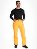 Thumbnail Picture, Plan ski pants men Carrot orange 