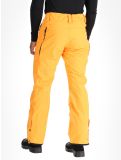 Thumbnail Picture, Plan ski pants men Carrot orange 