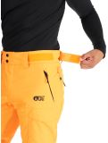 Thumbnail Picture, Plan ski pants men Carrot orange 