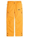 Thumbnail Picture, Time ski pants kids Autumn Blaze yellow 