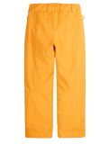 Thumbnail Picture, Time ski pants kids Autumn Blaze yellow 