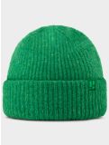 Thumbnail Poederbaas, Artic Beanie beanie unisex Island Green green 