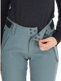 Thumbnail Protest, PRTRELOLE ski pants women Evergreen green 