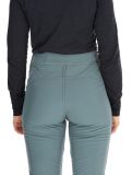 Thumbnail Protest, PRTRELOLE ski pants women Evergreen green 