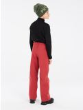 Thumbnail Protest, PRTSTERIO JR ski pants kids Barn Red red 