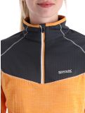 Thumbnail Regatta, Hepley pullover women Abricot Crush / Seal Grey grey, orange 