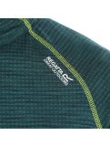 Thumbnail Regatta, Yonder pullover men deep pine green