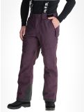 Thumbnail Rehall, Backbone-R ski pants men Plum Perfect purple 