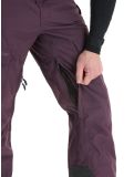 Thumbnail Rehall, Backbone-R ski pants men Plum Perfect purple 