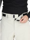 Thumbnail Rehall, Benn-R ski pants men Gravel Stone beige 