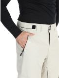 Thumbnail Rehall, Benn-R ski pants men Gravel Stone beige 