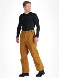 Thumbnail Rehall, Laricks-R ski pants men Tobacco brown 