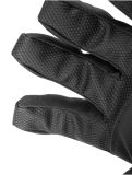 Thumbnail Reusch, Reusch Doubletake R-TEX® XT ski gloves men Black / Black Melange black 