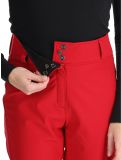 Thumbnail Rossignol, Ski Softshell softshell ski pants women Ruby Red red 