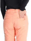 Thumbnail Roxy, Backyard ski pants women Peach Pink pink 