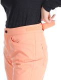 Thumbnail Roxy, Backyard ski pants women Peach Pink pink 