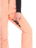 Thumbnail Roxy, Backyard ski pants women Peach Pink pink 