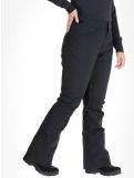 Thumbnail Roxy, Backyard ski pants women True Black black 