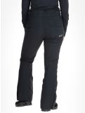 Thumbnail Roxy, Backyard ski pants women True Black black 