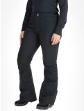 Thumbnail Roxy, Backyard ski pants women True Black black 