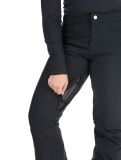 Thumbnail Roxy, Backyard ski pants women True Black black 