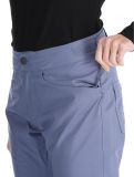 Thumbnail Roxy, Backyard ski pants women Wild Wind blue 