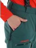 Thumbnail Spyder, Propulsion ski pants men Cypress Green green 