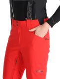 Thumbnail Spyder, Bormio ski pants men Spyder Red red 