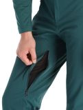 Thumbnail Spyder, Bormio Gtx ski pants men Cypress Green green 