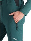 Thumbnail Spyder, Bormio Gtx ski pants men Cypress Green green 