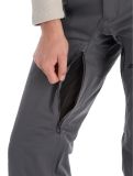 Thumbnail Spyder, Dare ski pants men Polar grey 