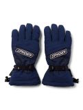 Thumbnail Spyder, Overweb GTX ski gloves men True Navy blue 