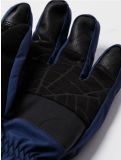 Thumbnail Spyder, Overweb GTX ski gloves men True Navy blue 