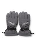 Thumbnail Spyder, Overweb GTX ski gloves men Polar grey 