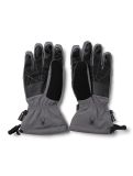 Thumbnail Spyder, Overweb GTX ski gloves men Polar grey 