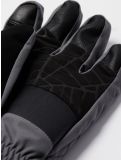 Thumbnail Spyder, Overweb GTX ski gloves men Polar grey 