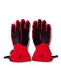 Thumbnail Spyder, Overweb GTX ski gloves men Volcano red 