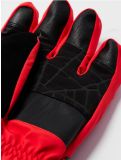 Thumbnail Spyder, Overweb GTX ski gloves men Volcano red 