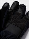 Thumbnail Spyder, Overweb GTX ski gloves men Black black 