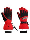 Thumbnail Spyder, Overweb GTX ski gloves men Spyder Red red 