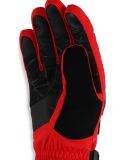 Thumbnail Spyder, Overweb GTX ski gloves men Spyder Red red 