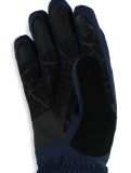 Thumbnail Spyder, Overweb GTX ski gloves men True Navy blue 