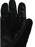 Thumbnail Spyder, Overweb ski gloves kids Black black 