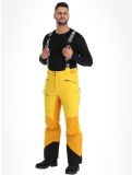 Thumbnail Tenson, Aerismo ski pants men Spectra yellow yellow 